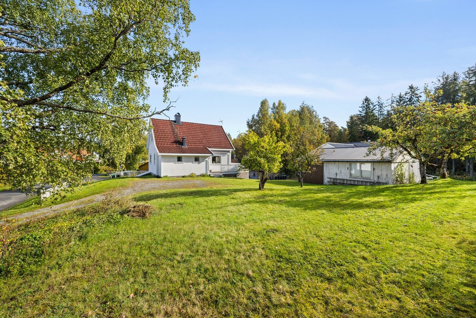 Garasje/uthus på 39 kvm (rivningsklar). Galleribilde