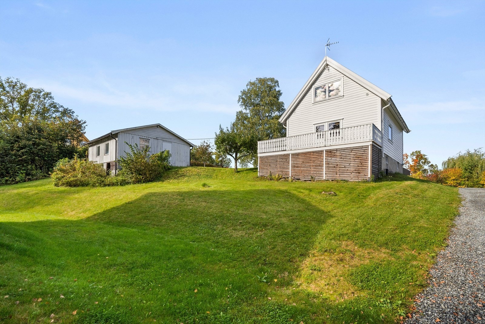 Tomten er åpen og lys med sen kveldssol. Galleribilde