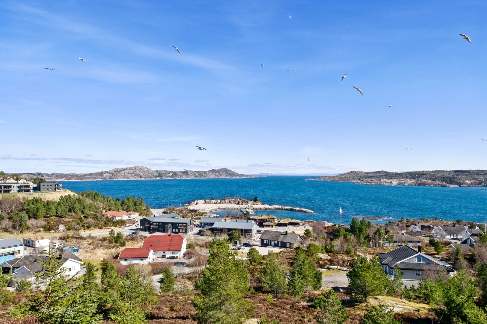 Det er en gåtur til sjøkanten og flere nydelige turmuligheter i nærområdet. Galleribilde