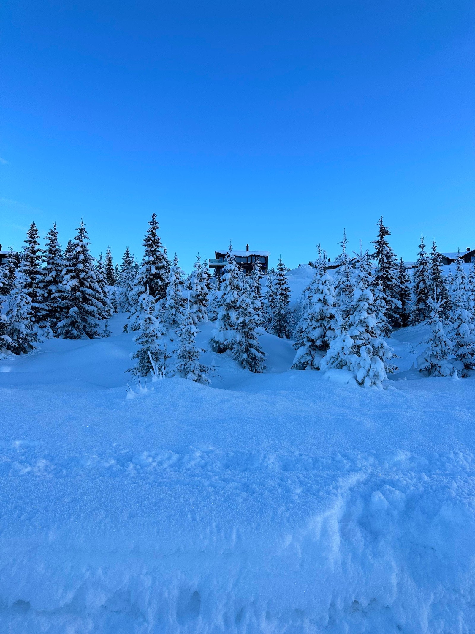 Vakkert, snødekket landskap. Galleribilde