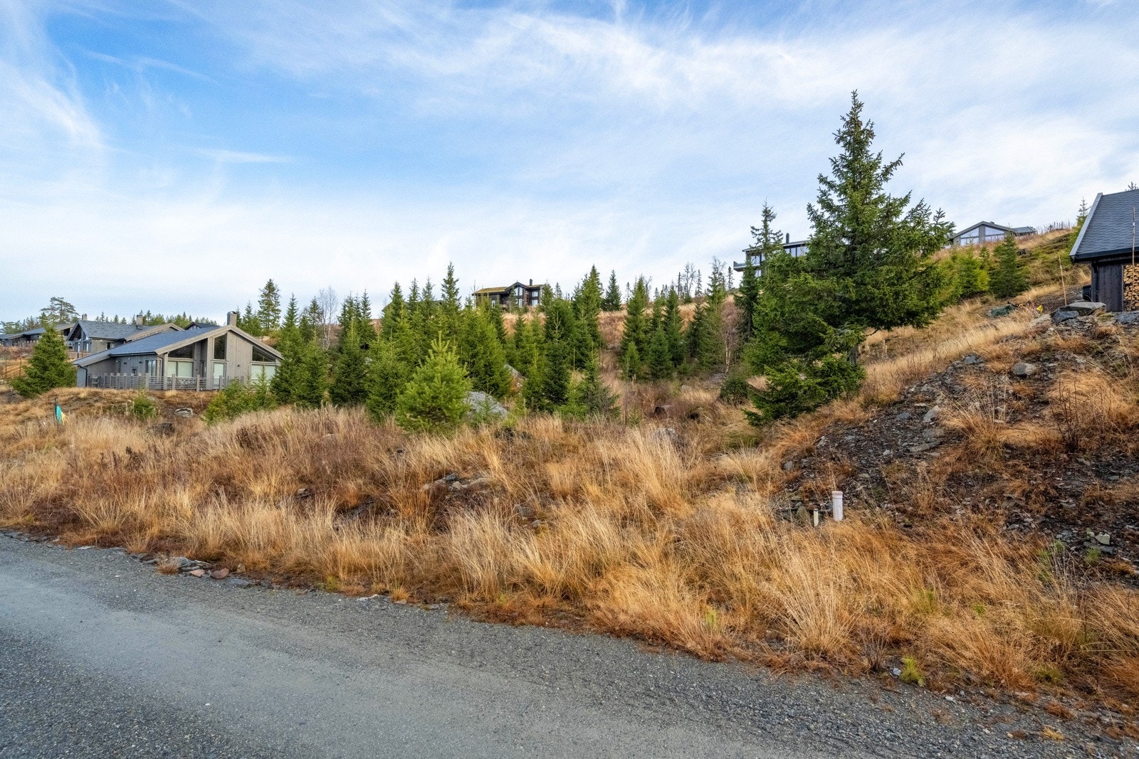 Kort vei til turløyper, skiløyper, akebakke med skibånd og gapahuk! Galleribilde