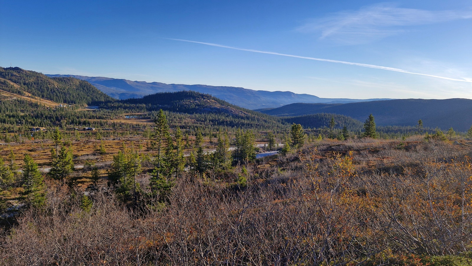 Nærområdet består av snaufjell og vidder, bjørkeskog, urskog, myrer og fjellvann. Galleribilde