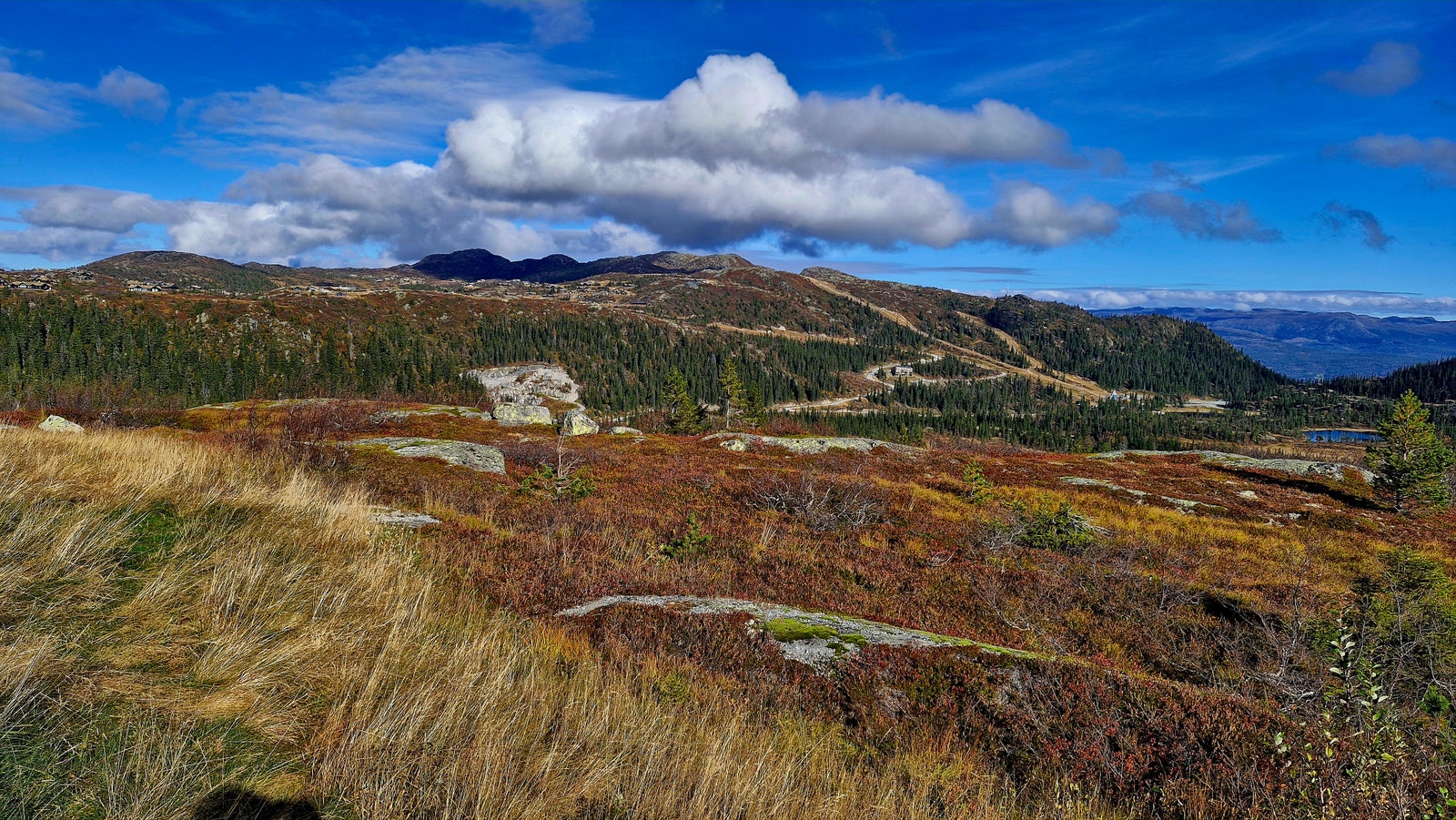 Området har fantastisk turterreng for ski, fotturer og sykkelturer. Galleribilde