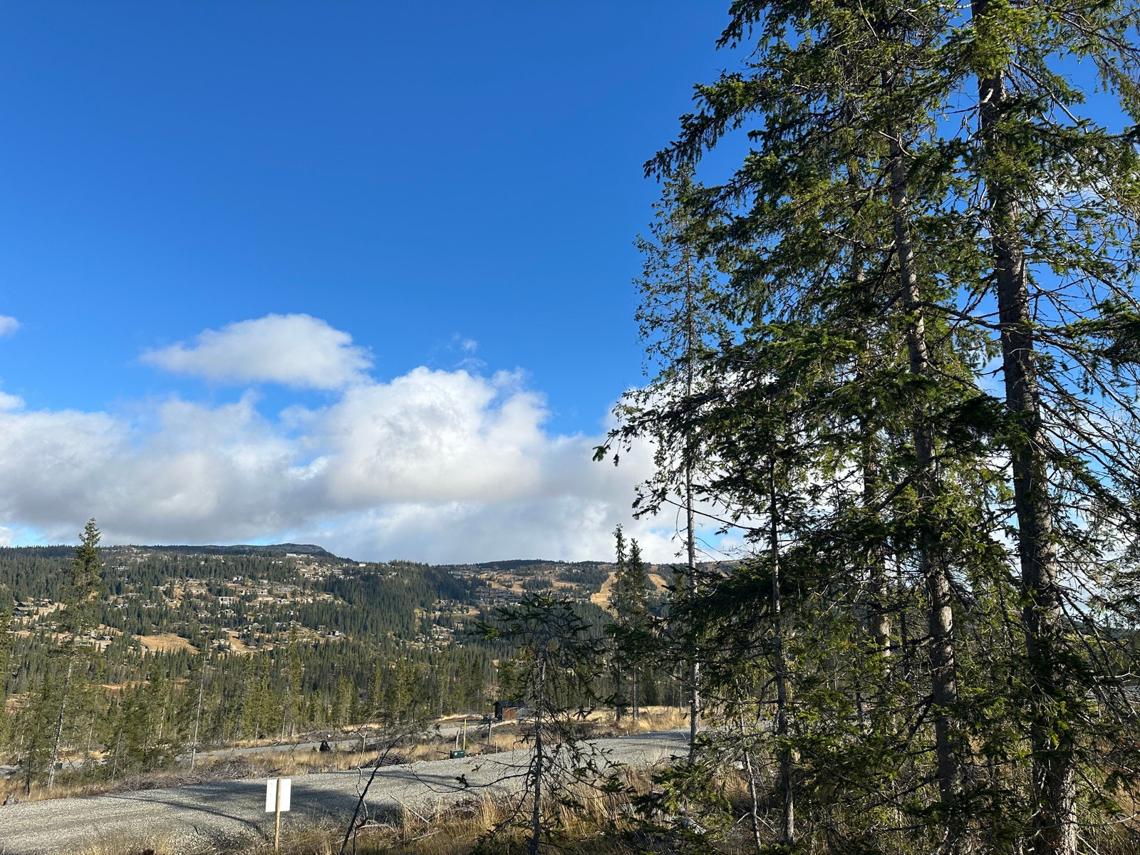 Utsikt fra tomten mot vest siden Galleribilde