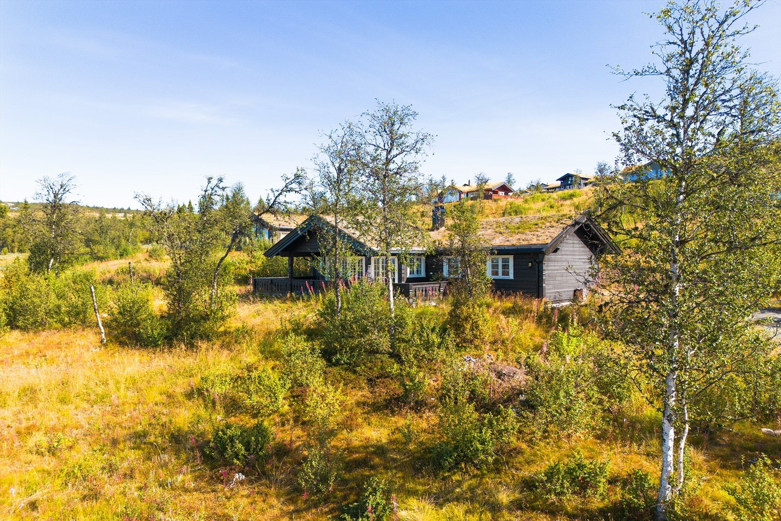 Her er naturtomten beholdt. Galleribilde