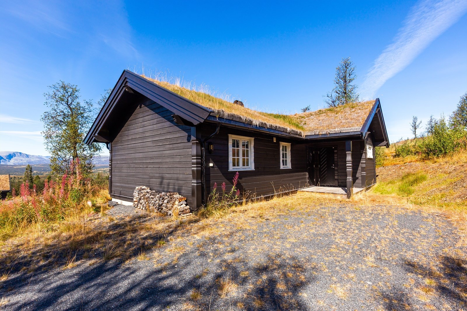 Overbygd inngangsparti Galleribilde