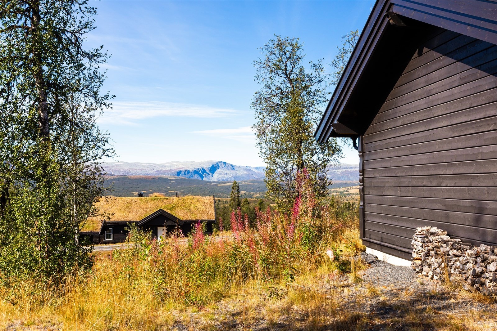 Hyttefeltet ligger i svakt hellende terreng, svært åpent med litt bjørkeskog. Galleribilde