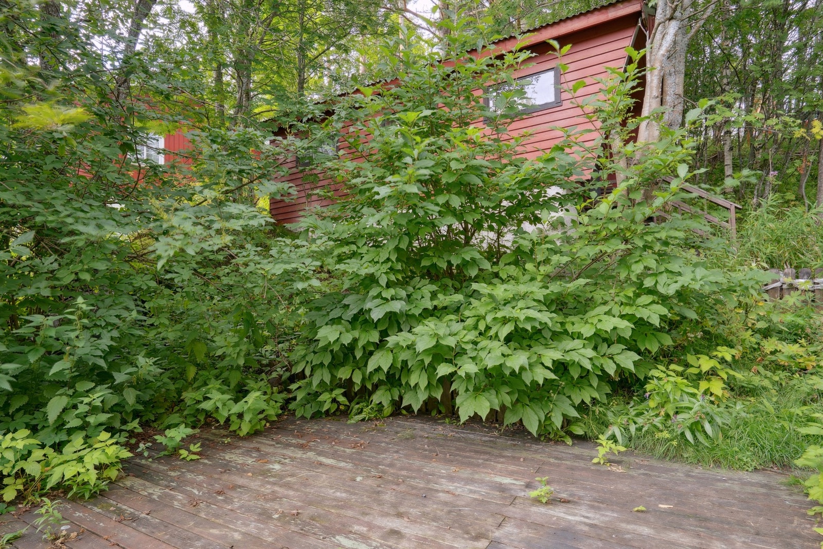 Terrasse Galleribilde