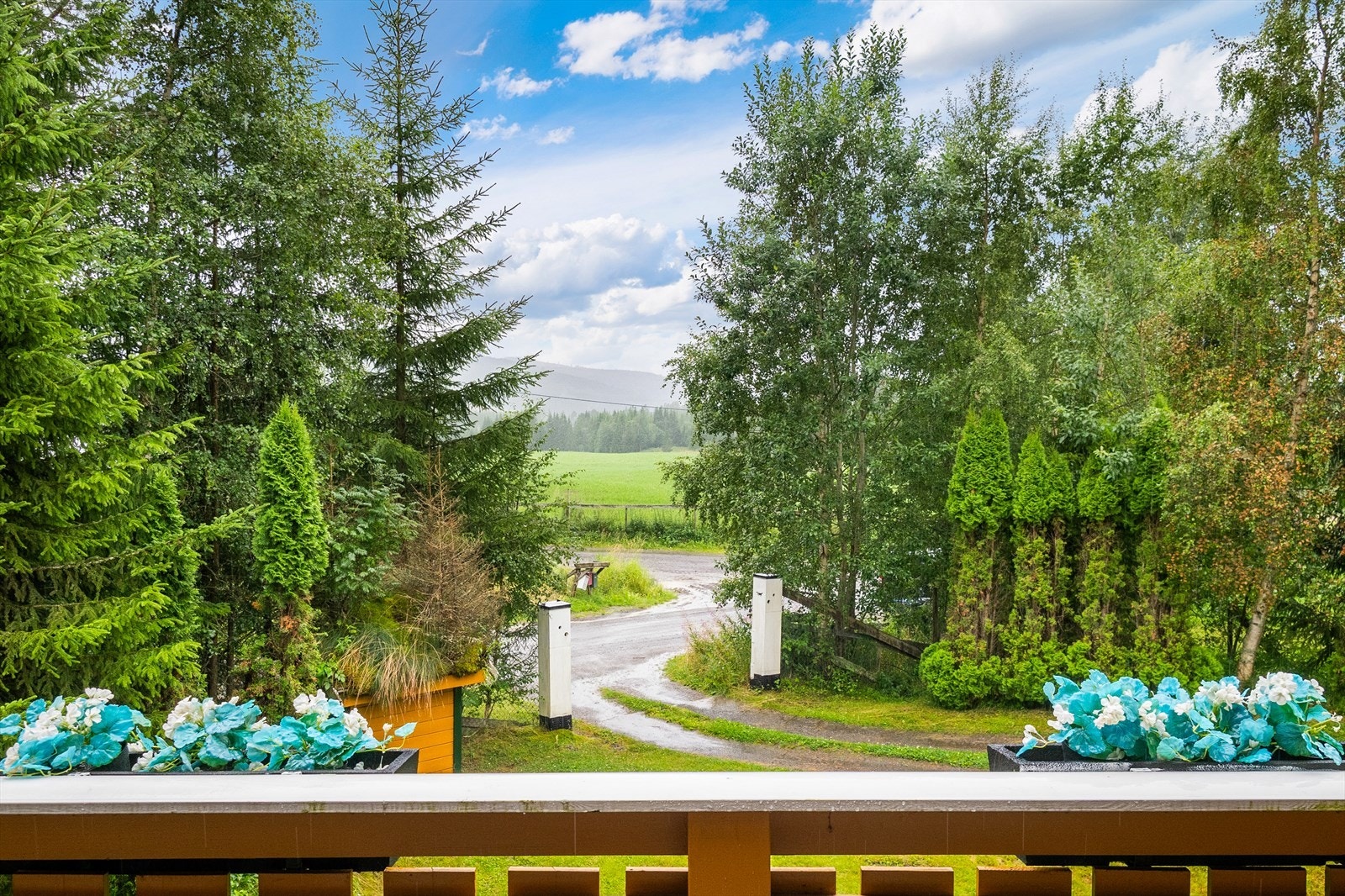 Husk visningspåmelding. Galleribilde