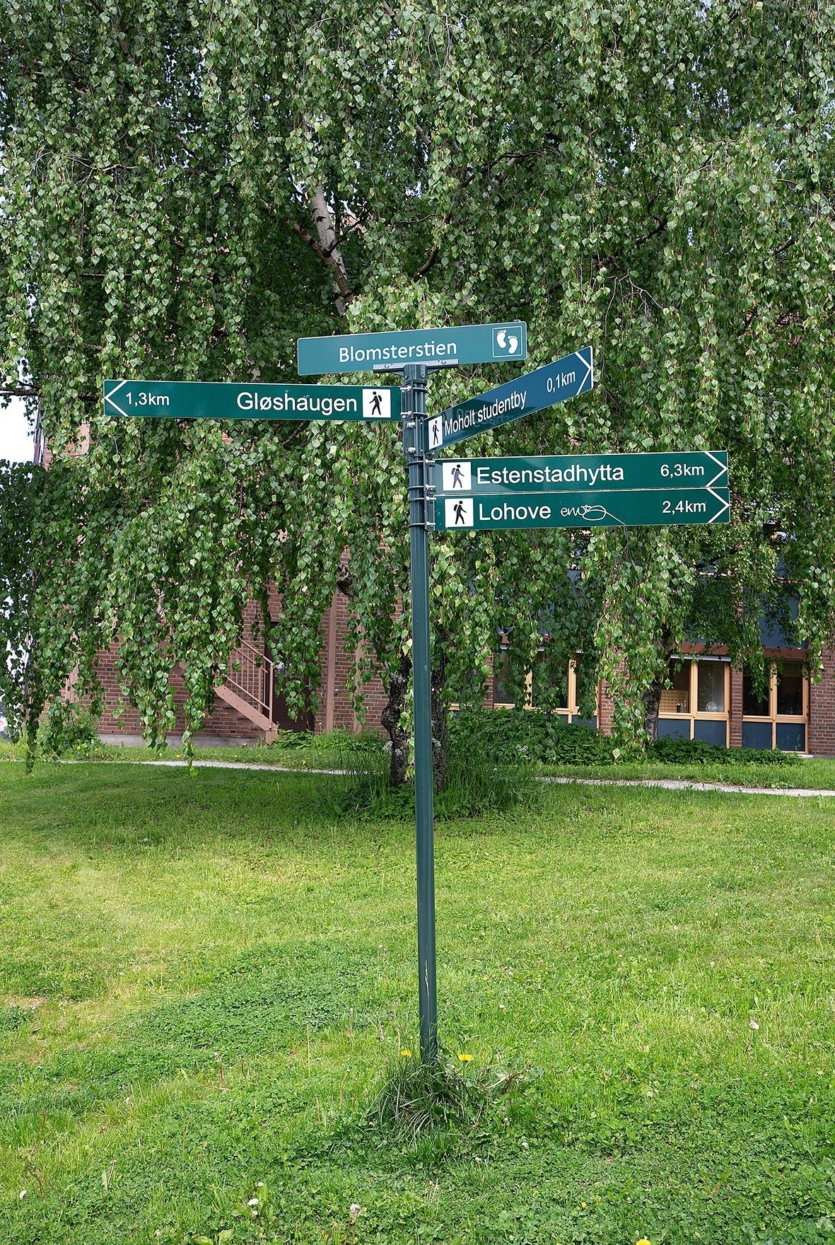 Mange muligheter for turløyper i nærområdet Galleribilde