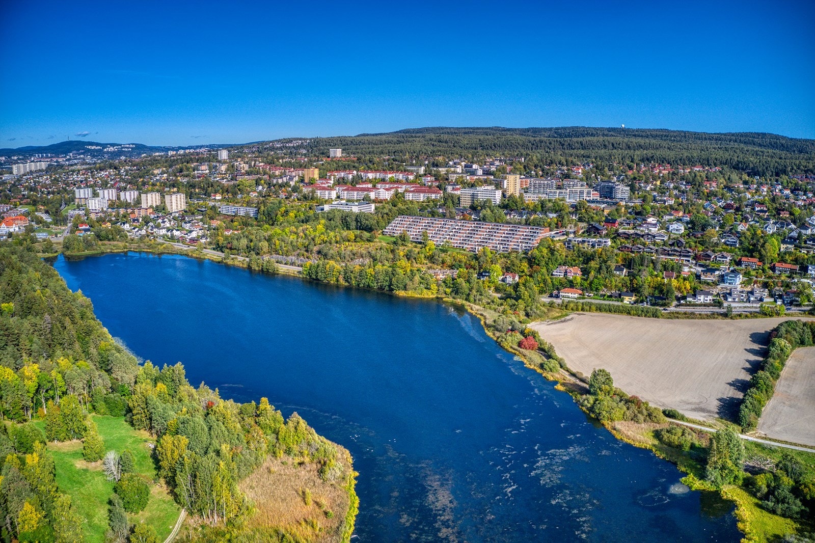 Østensjøvannet, som er kjent for sitt yrende fugleliv ligger ikke langt fra leiligheten Galleribilde