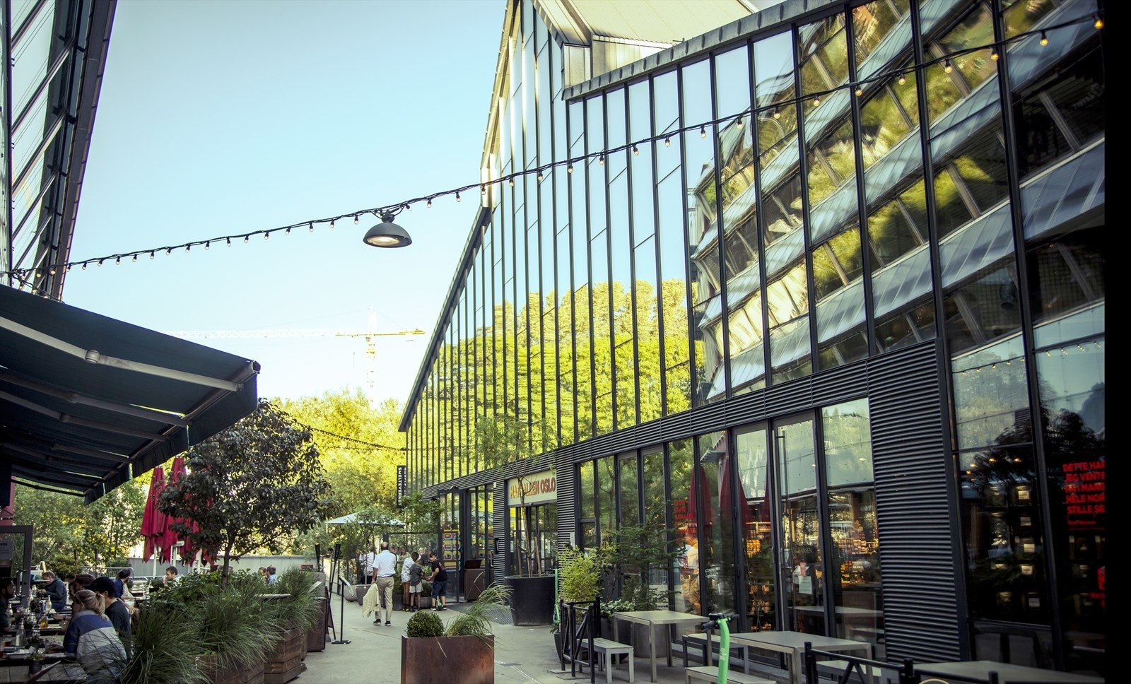 Områdebilde. Galleribilde