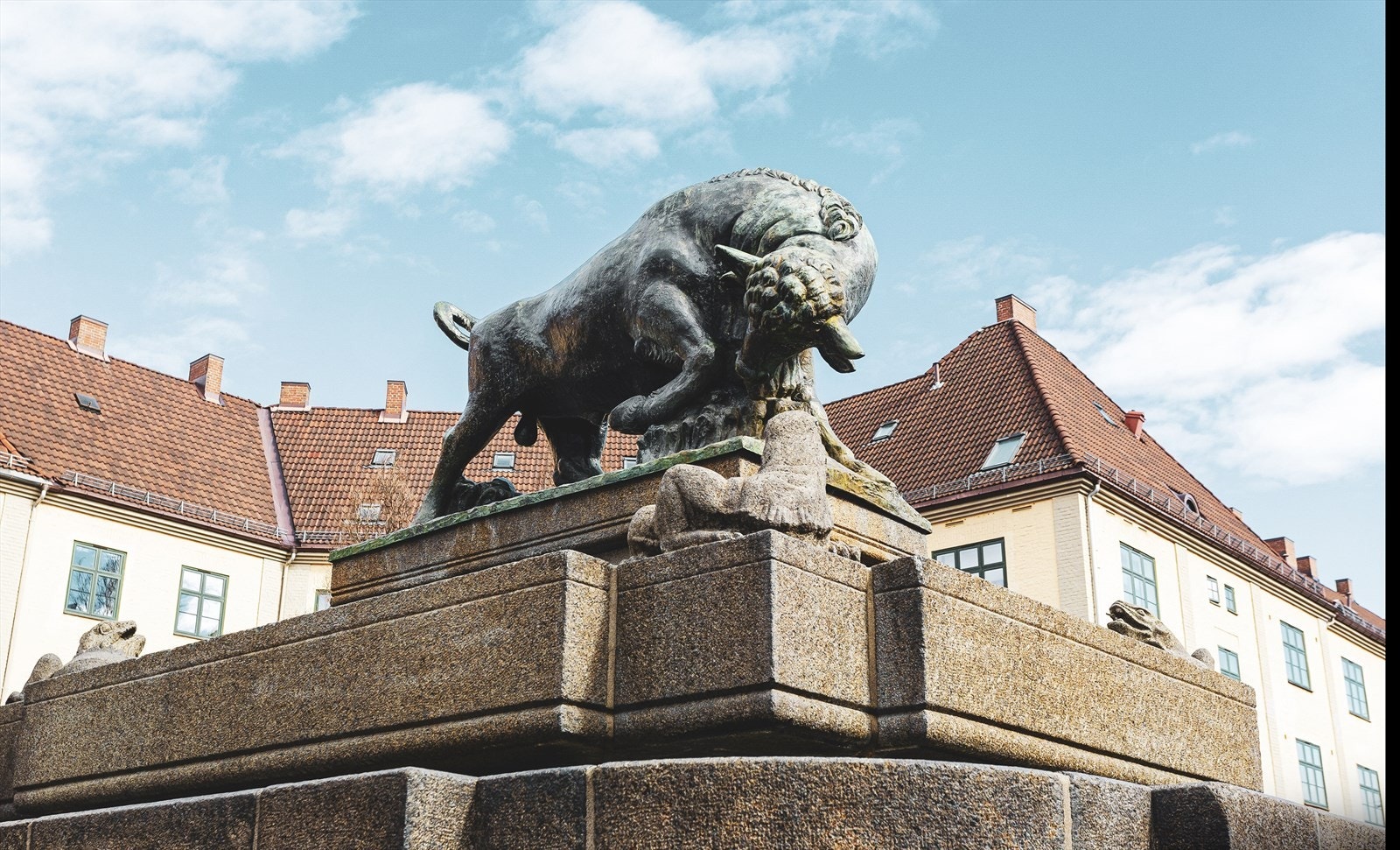 Områdebilde. Galleribilde