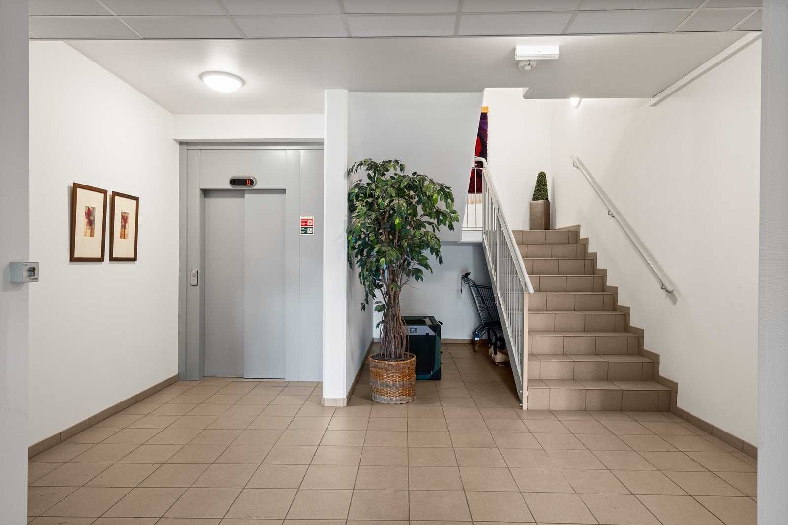 Det er heis i bygget, og fellesområdene er velholdt og hyggelige. Galleribilde