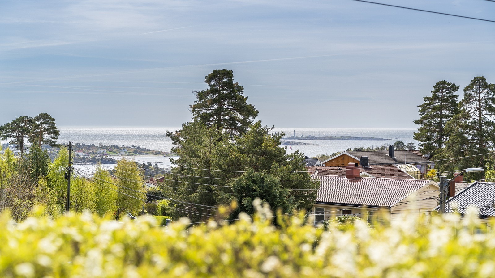 Utsikt mot havet, Merdø og Torungen Galleribilde