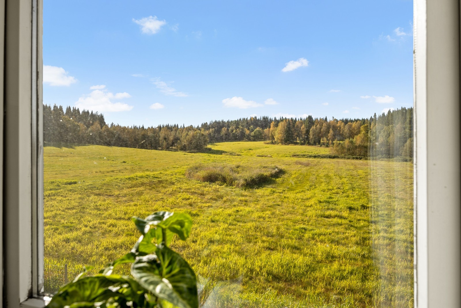 Utsikt fra soverom Galleribilde