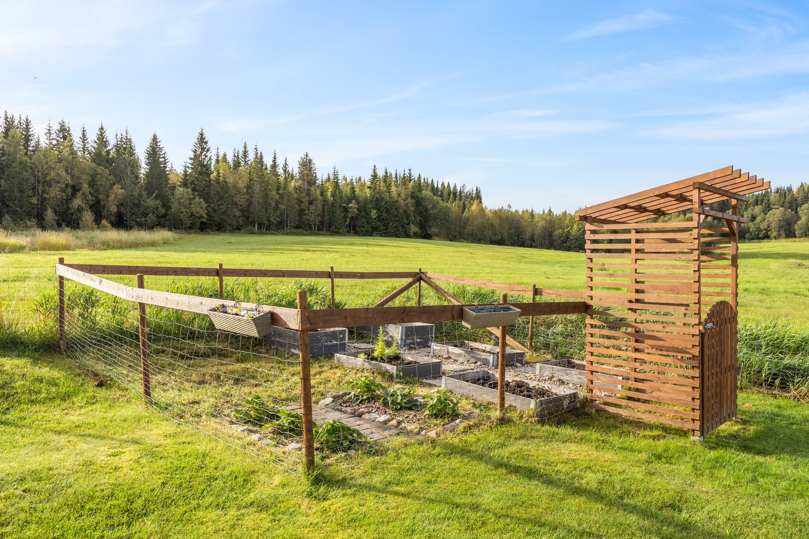 Det er etablert sjarmerende kjøkkenhage i den ene kanten av hagen Galleribilde