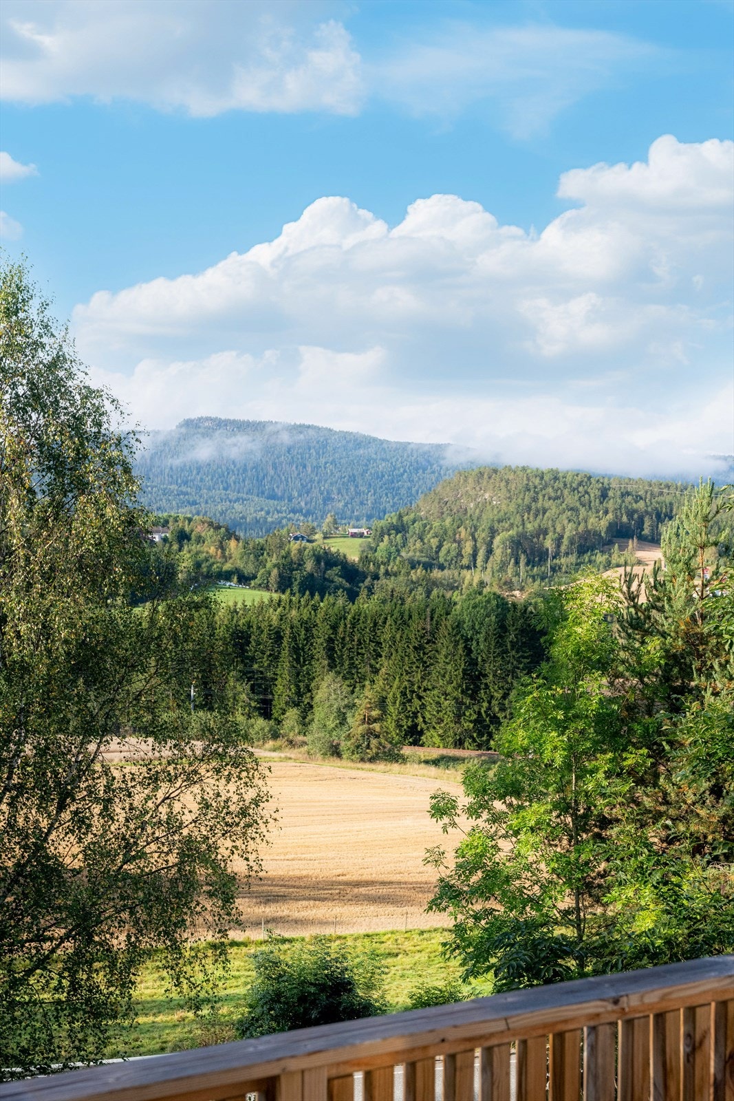Idyllisk utsikt fra terrassen. Galleribilde