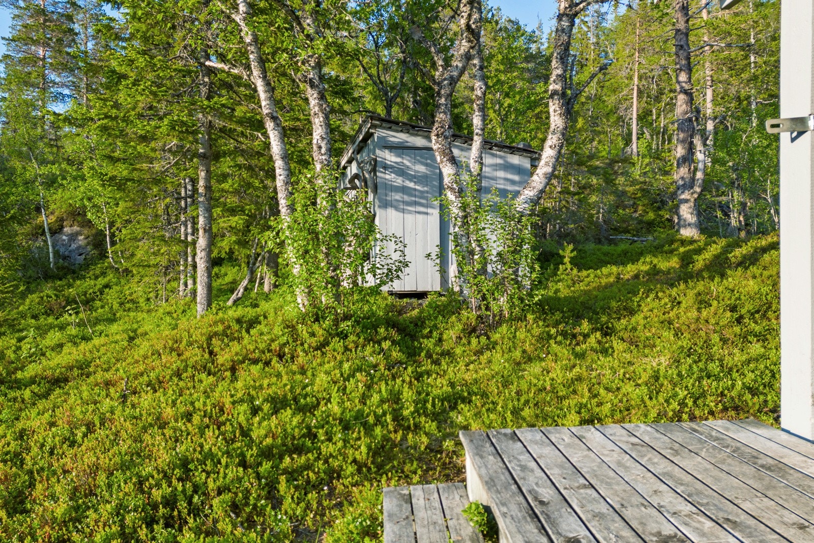 Torsbustaden 239 Galleribilde