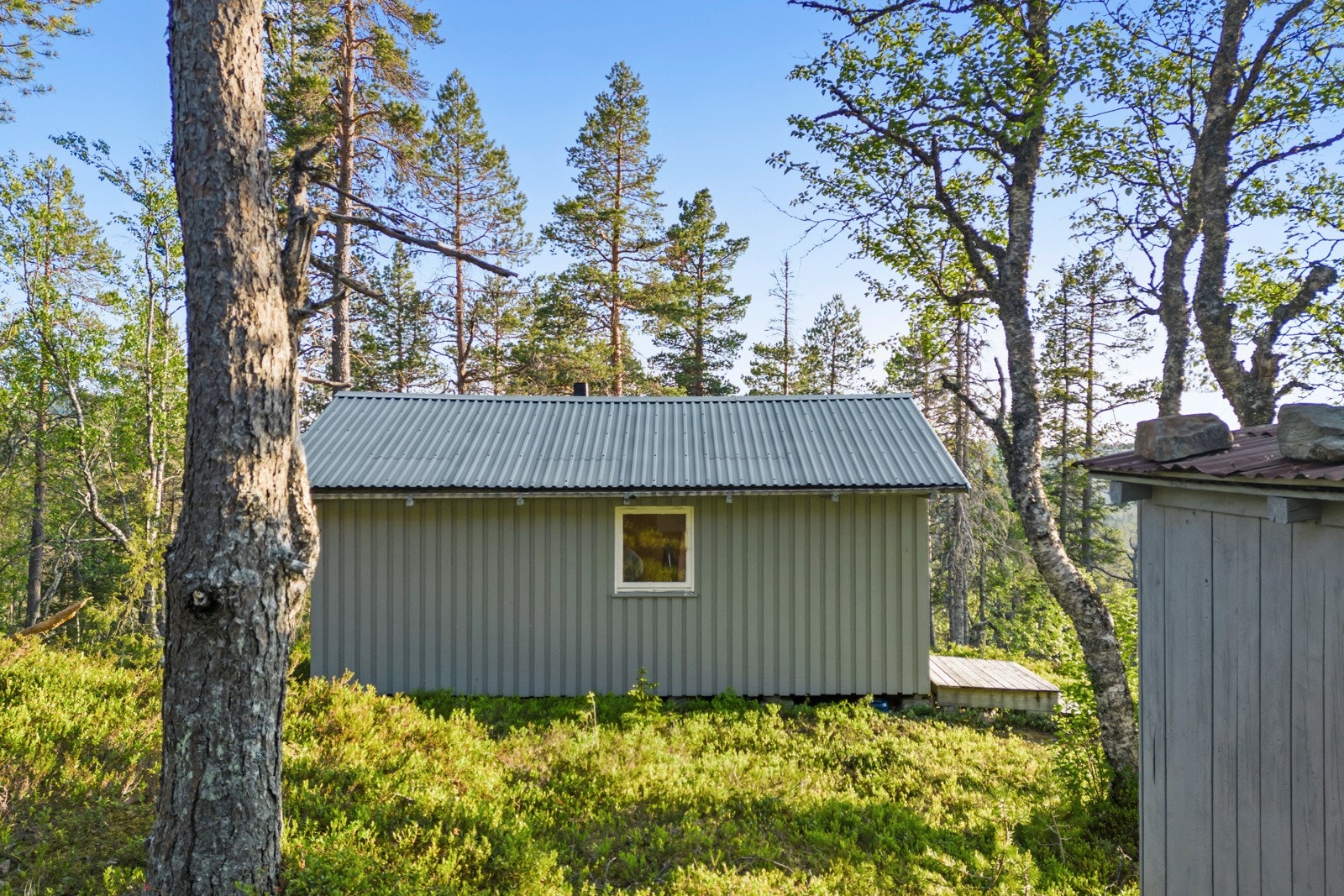 Torsbustaden 239 Galleribilde