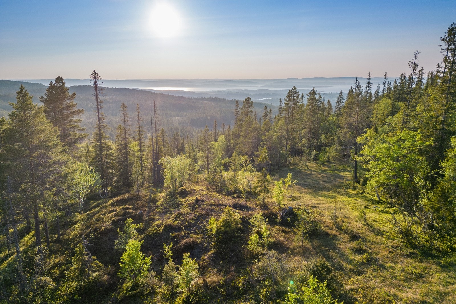 Torsbustaden 239 Galleribilde