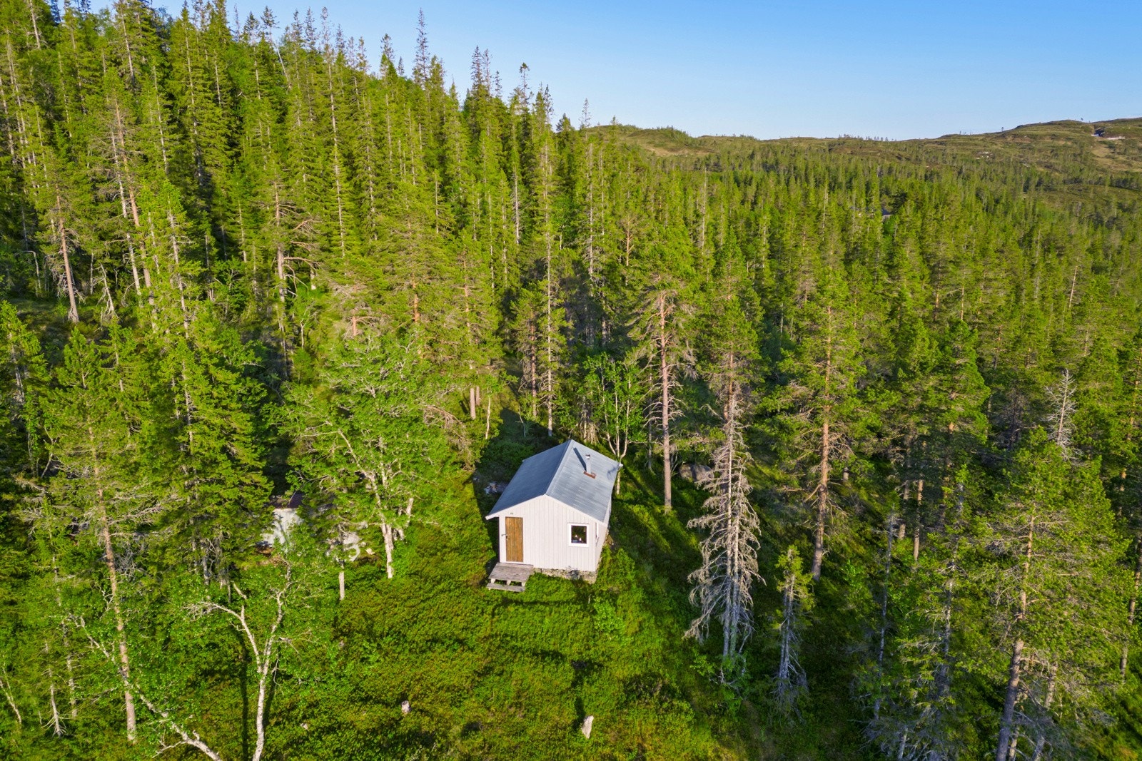Torsbustaden 239 Galleribilde