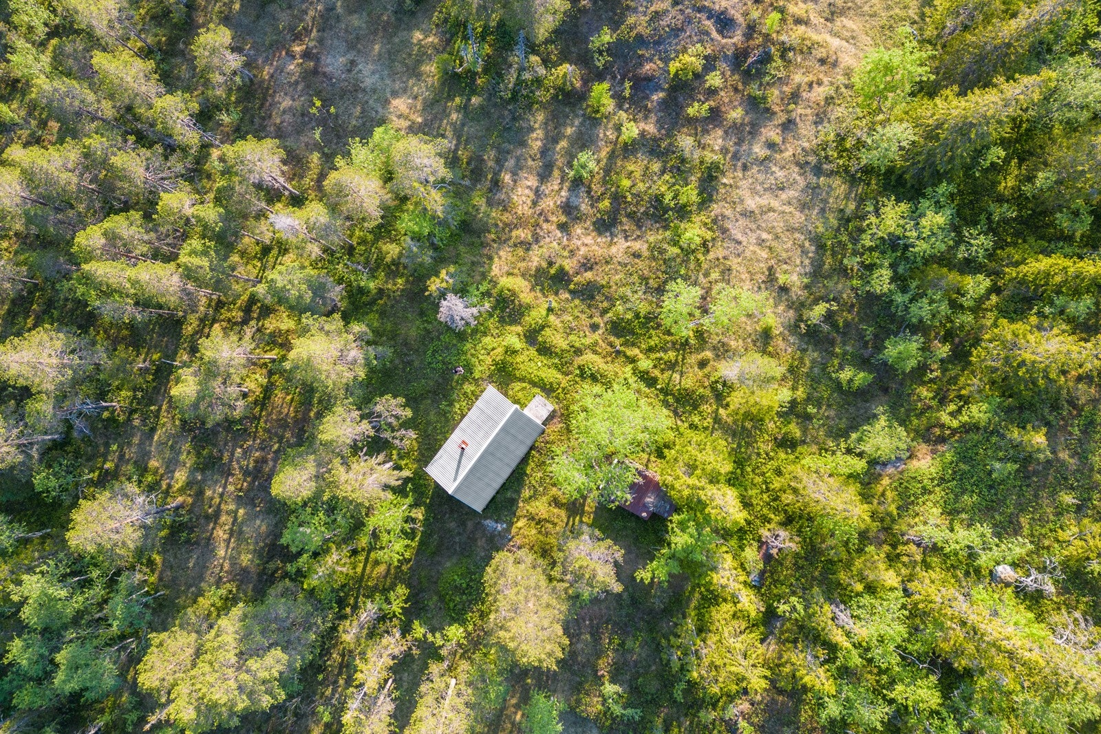 Torsbustaden 239 Galleribilde