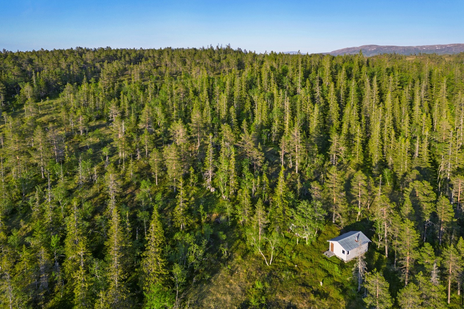 Torsbustaden 239 Galleribilde