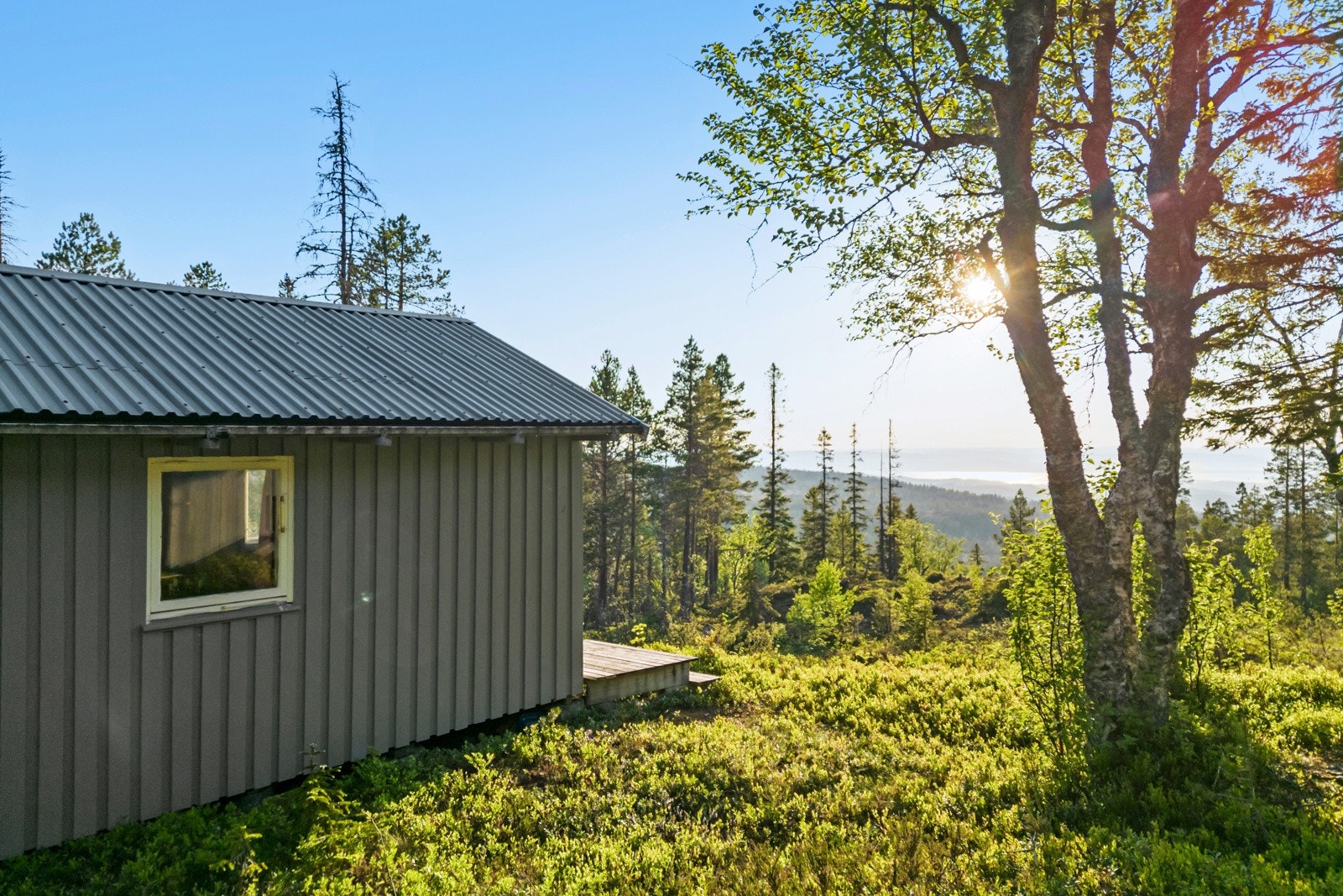 Oppkjørte skispor på vinters tid. Galleribilde