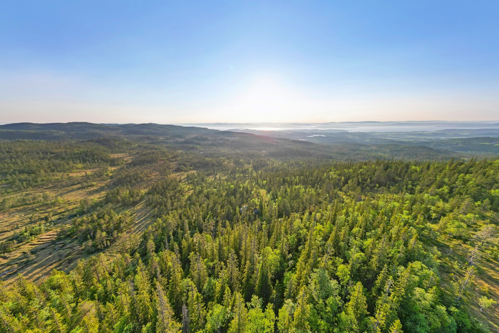 Torsbustaden 239 Galleribilde