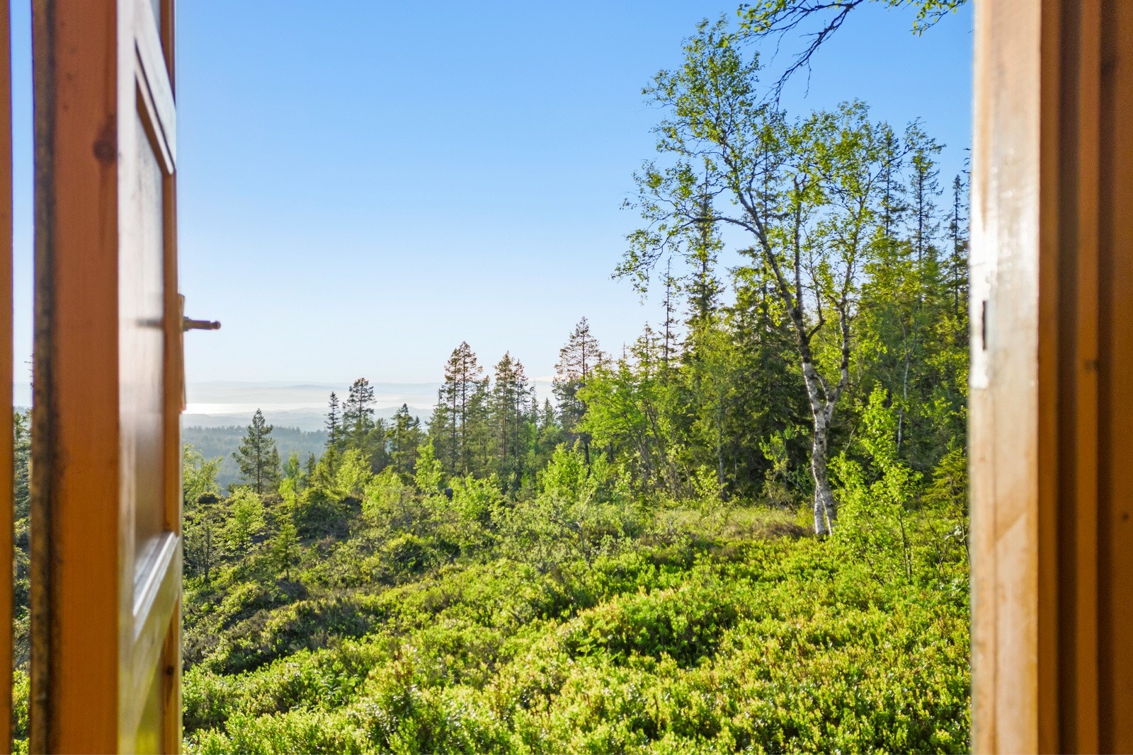 Torsbustaden 239 Galleribilde