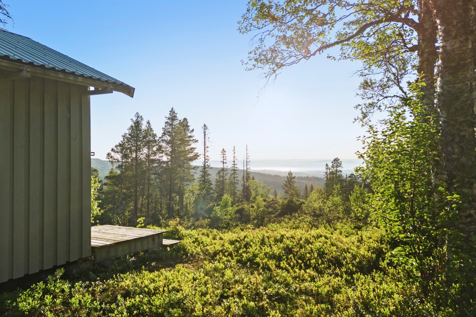 Torsbustaden 239 Galleribilde