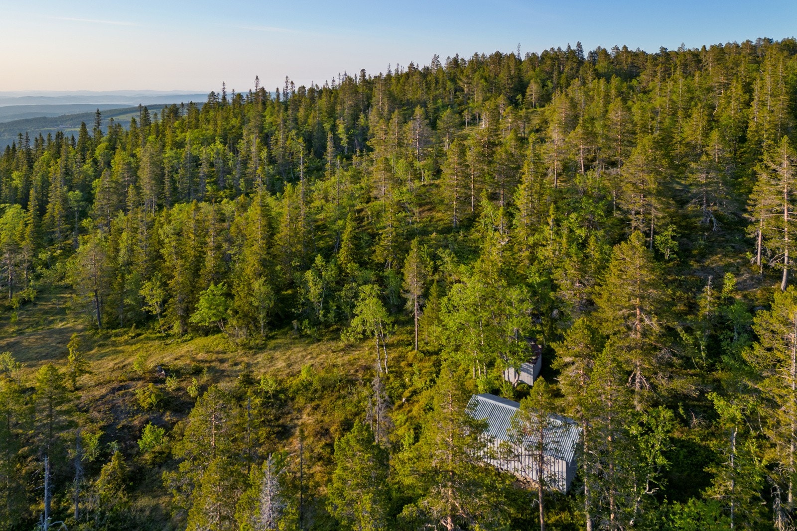 Torsbustaden 239 Galleribilde