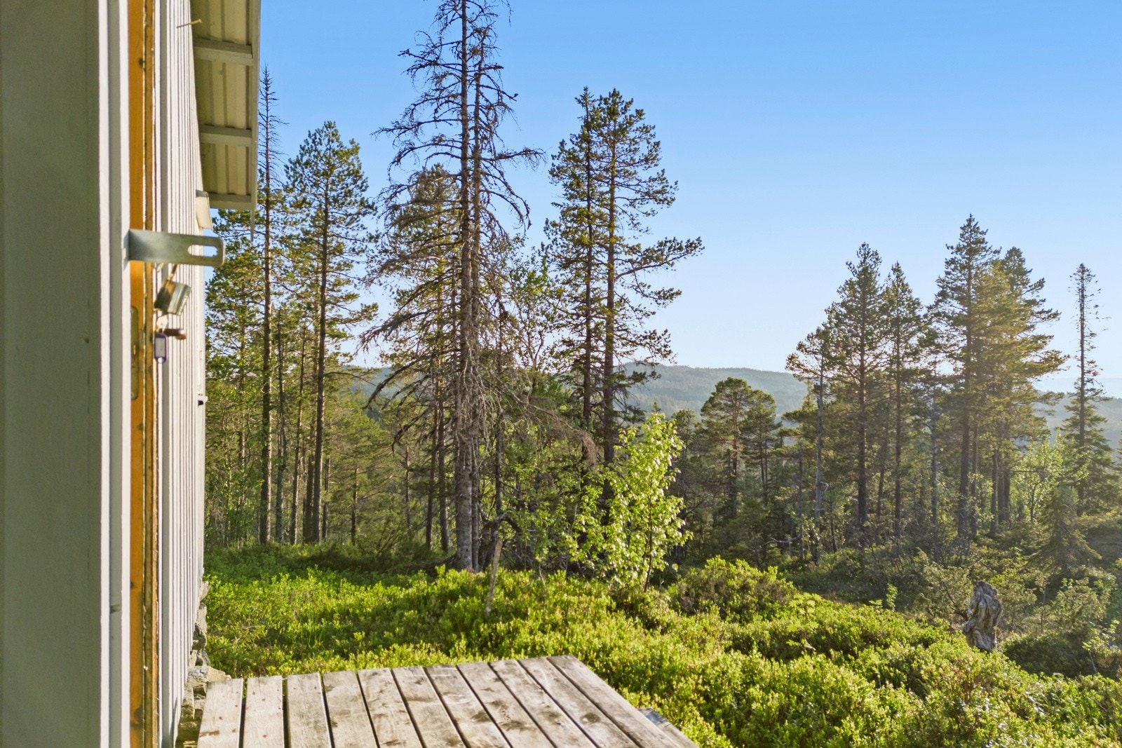 Torsbustaden 239 Galleribilde