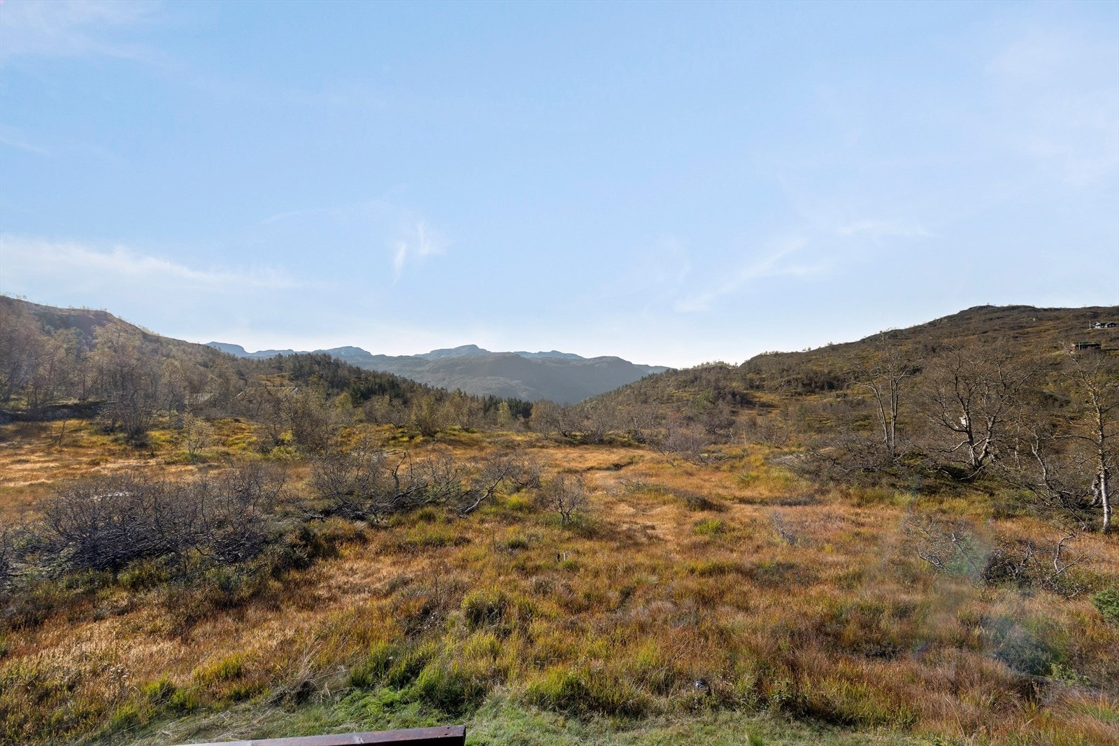 Utsikt fra stuevindu Galleribilde