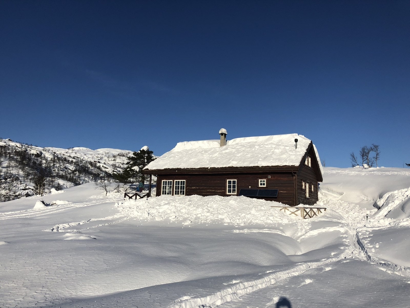 Vinter Galleribilde