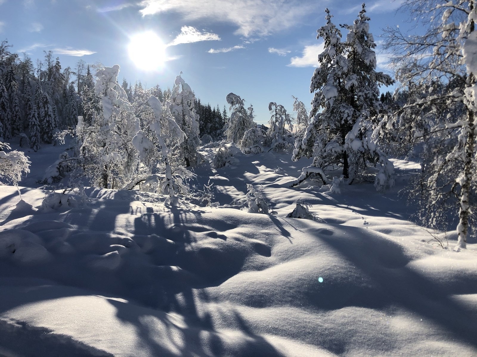 Vinterstemning Herheimsdalen Galleribilde