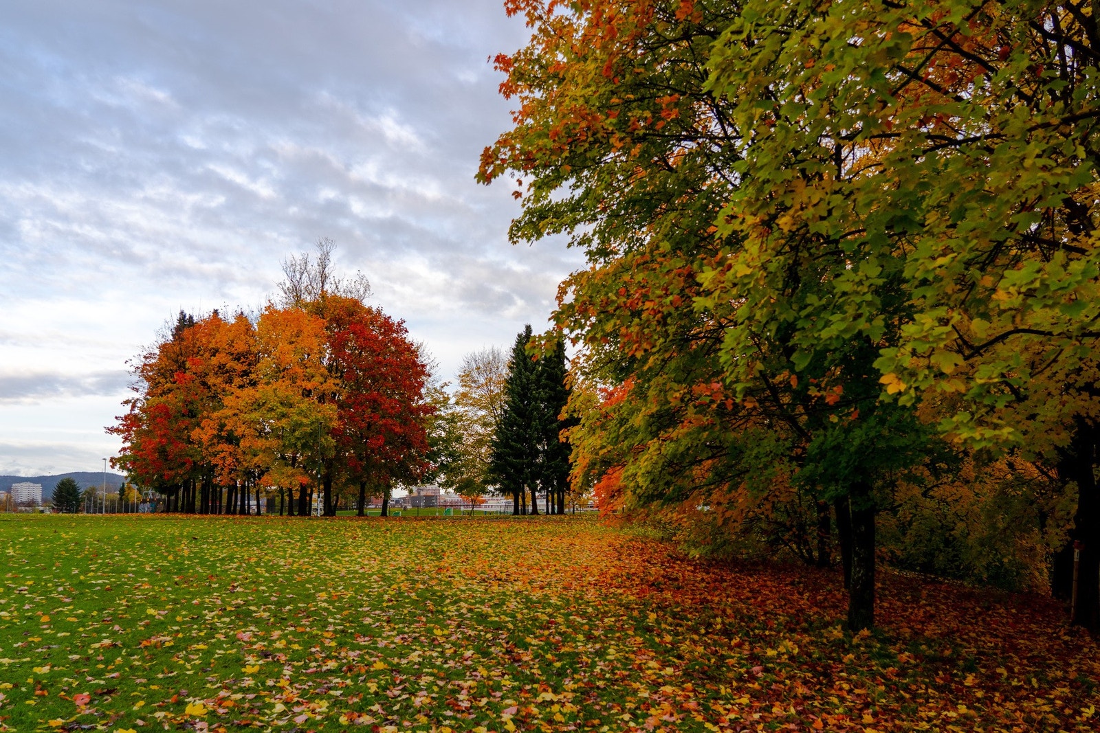 Nærområde Galleribilde