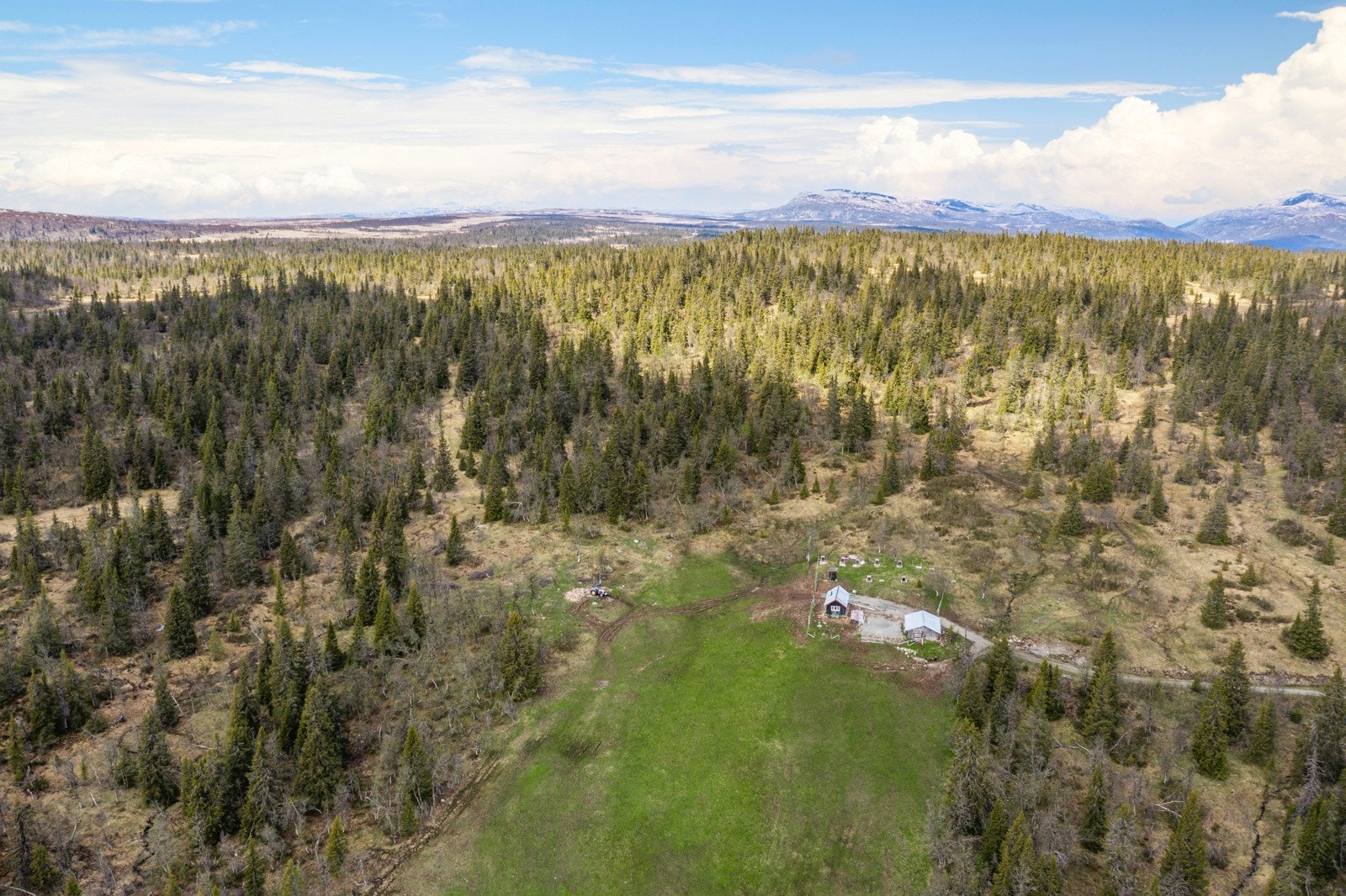 Bilde fra seter Galleribilde