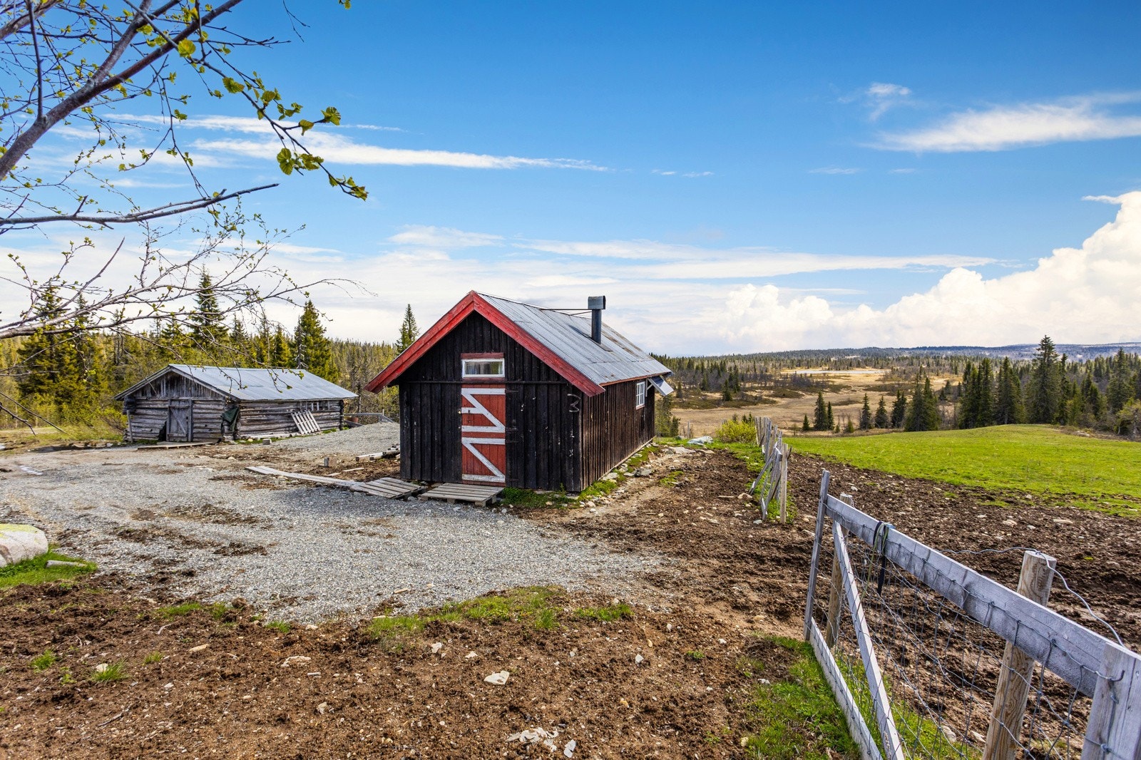 Bilde fra seter Galleribilde