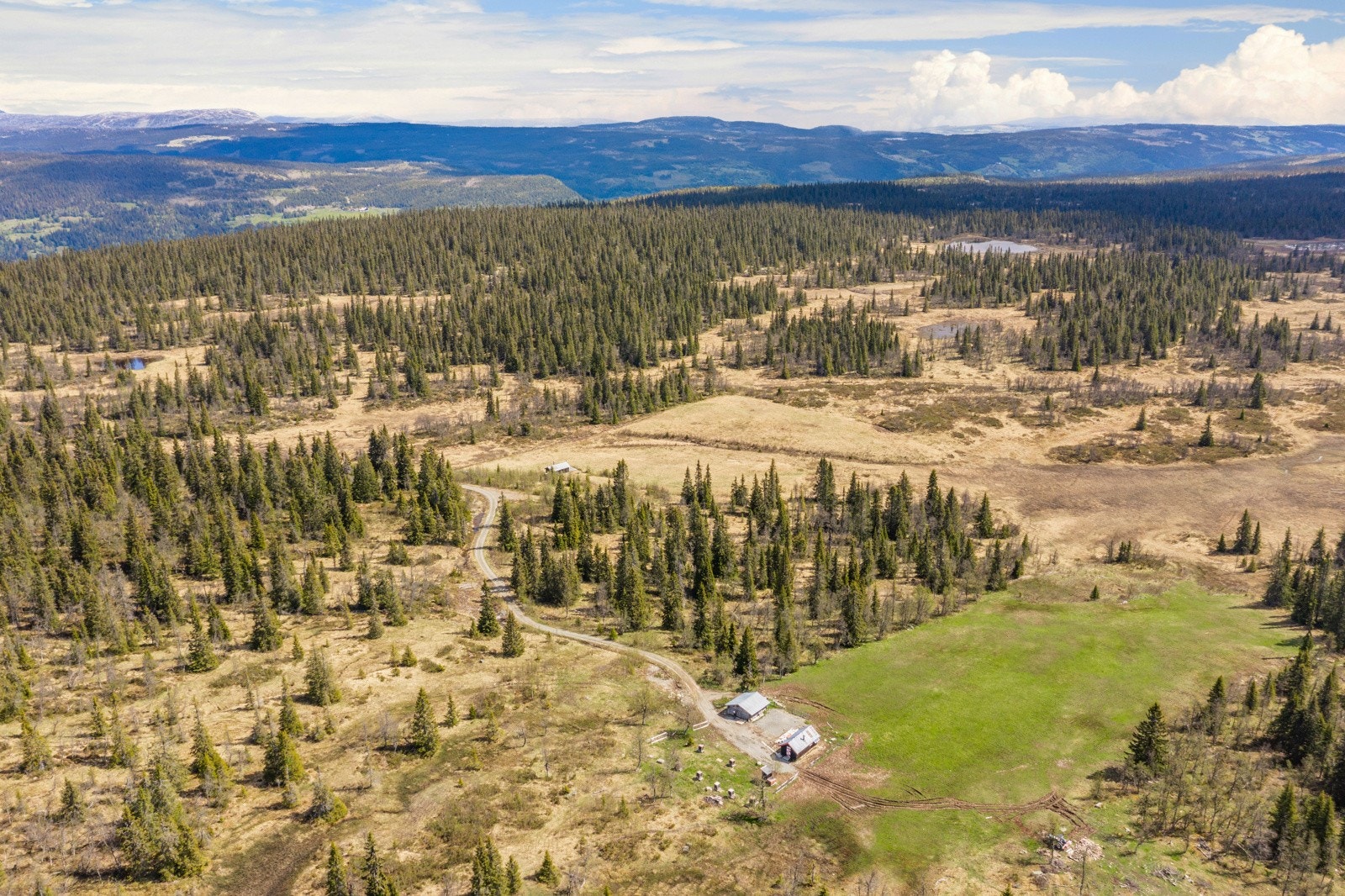 Bilde fra seter Galleribilde