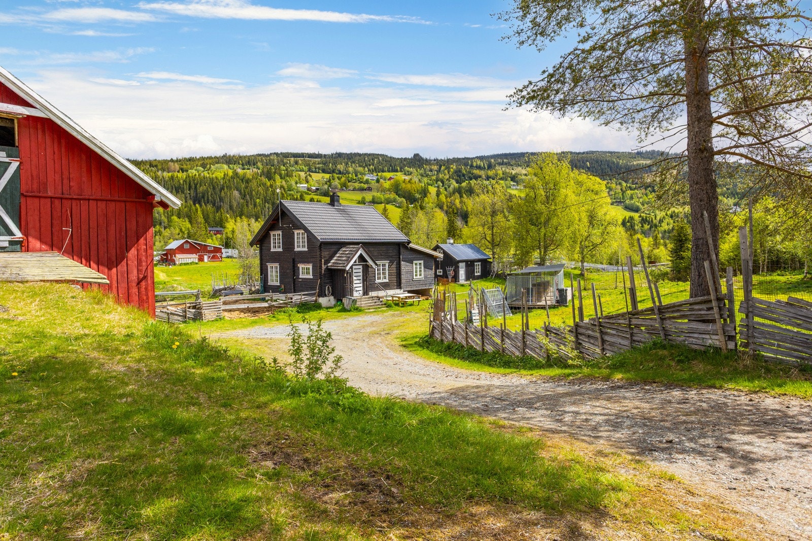 Ned til tunet Galleribilde