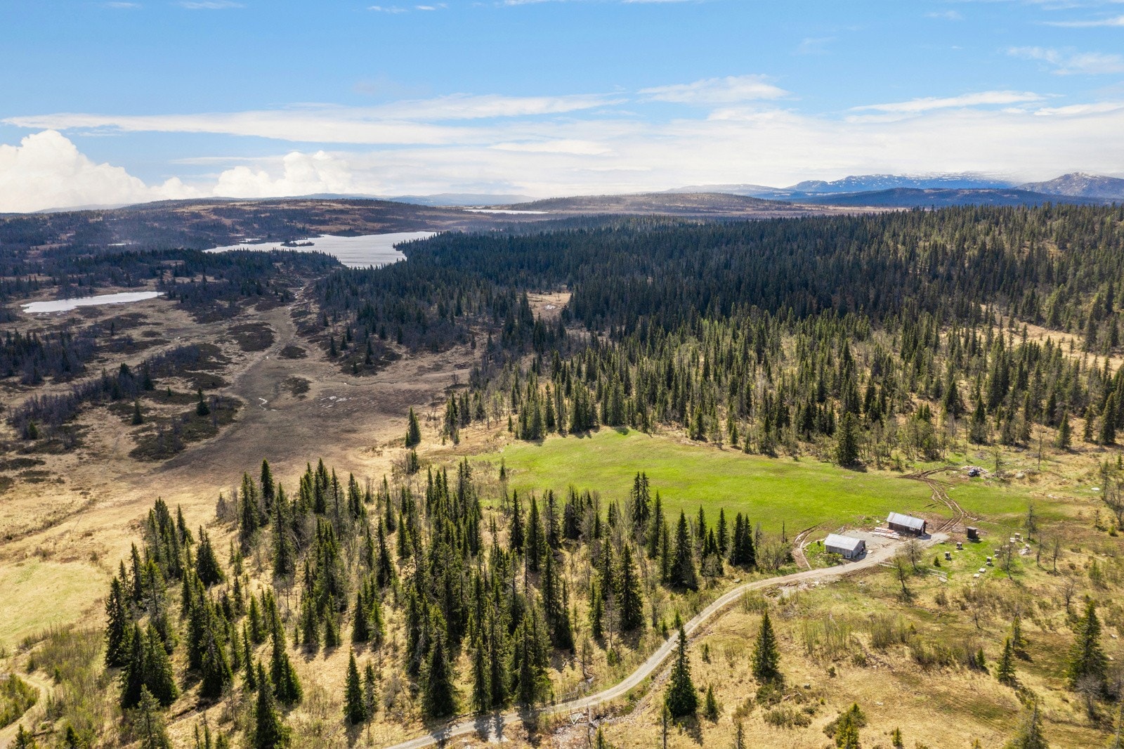 Bilde fra seter Galleribilde