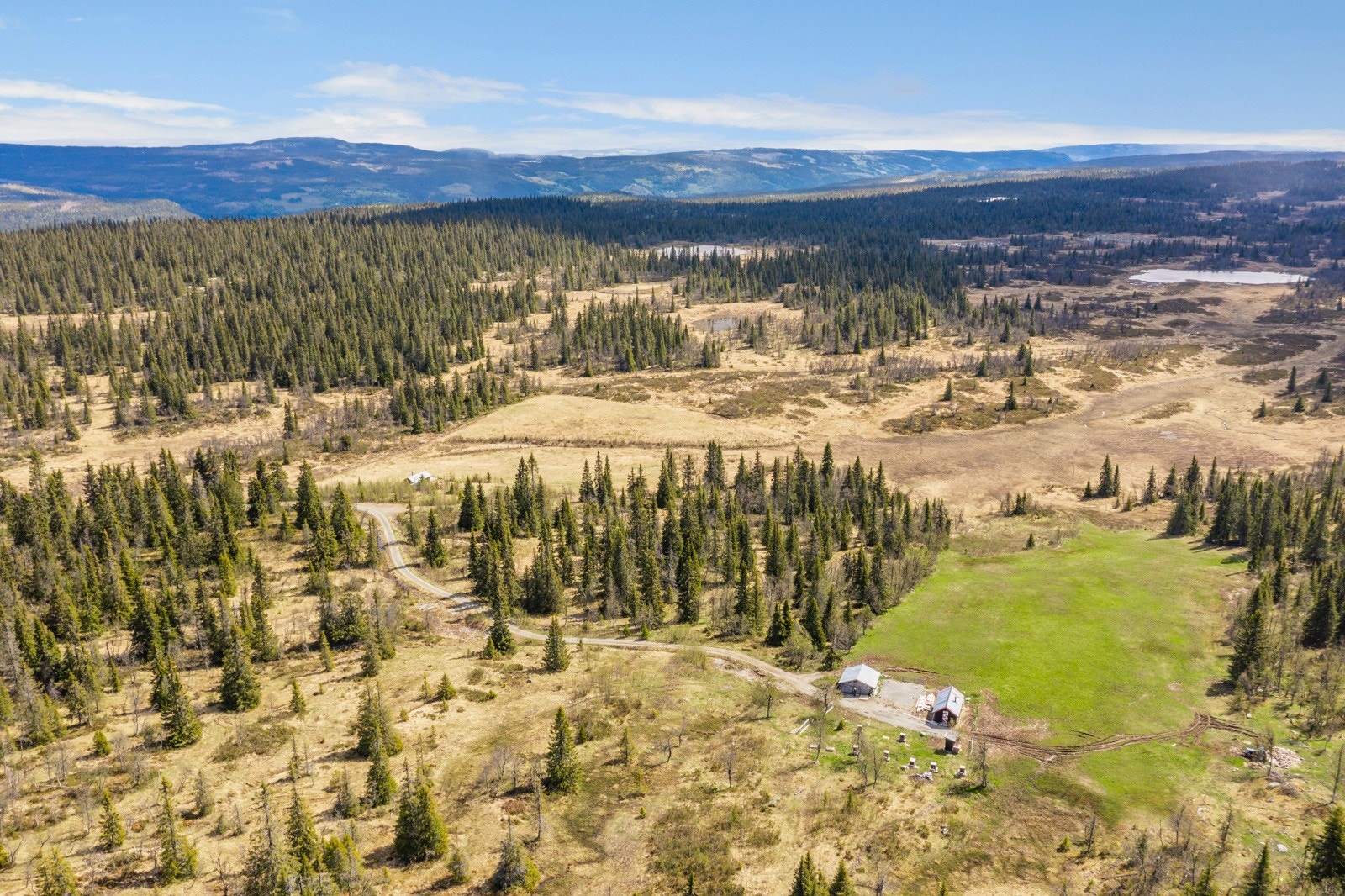 Bilde fra seter Galleribilde