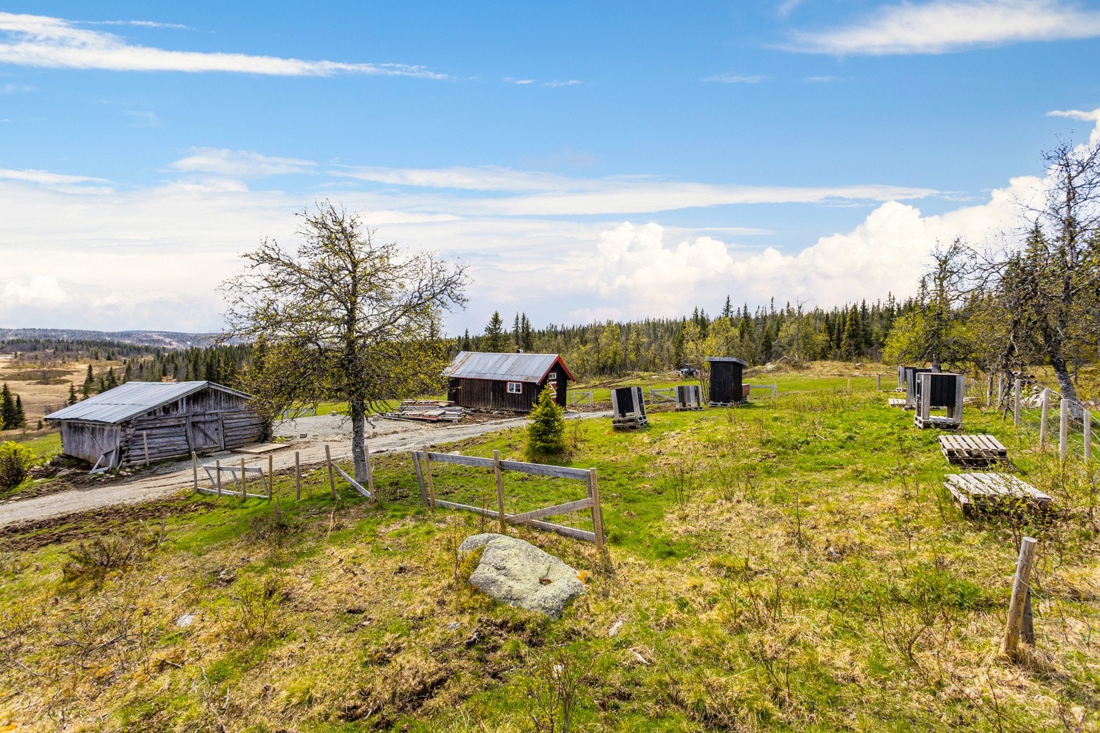 Bilde fra seter Galleribilde