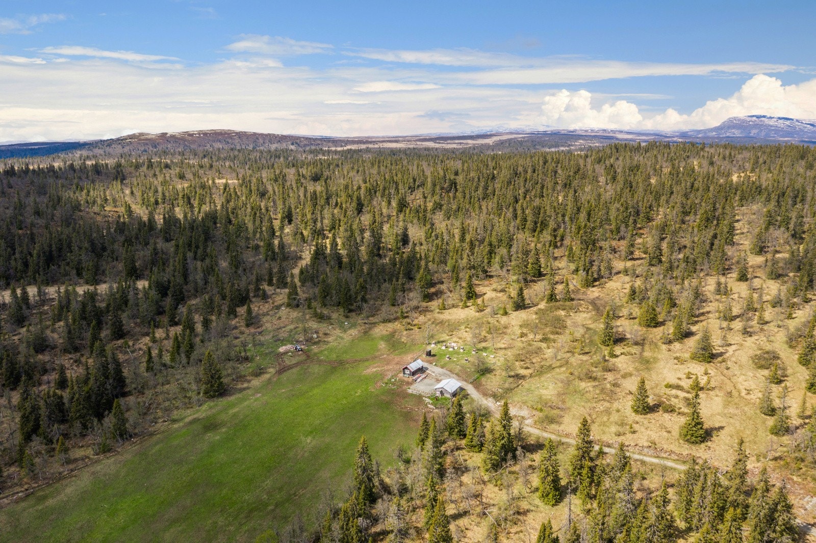 Bilde fra seter Galleribilde