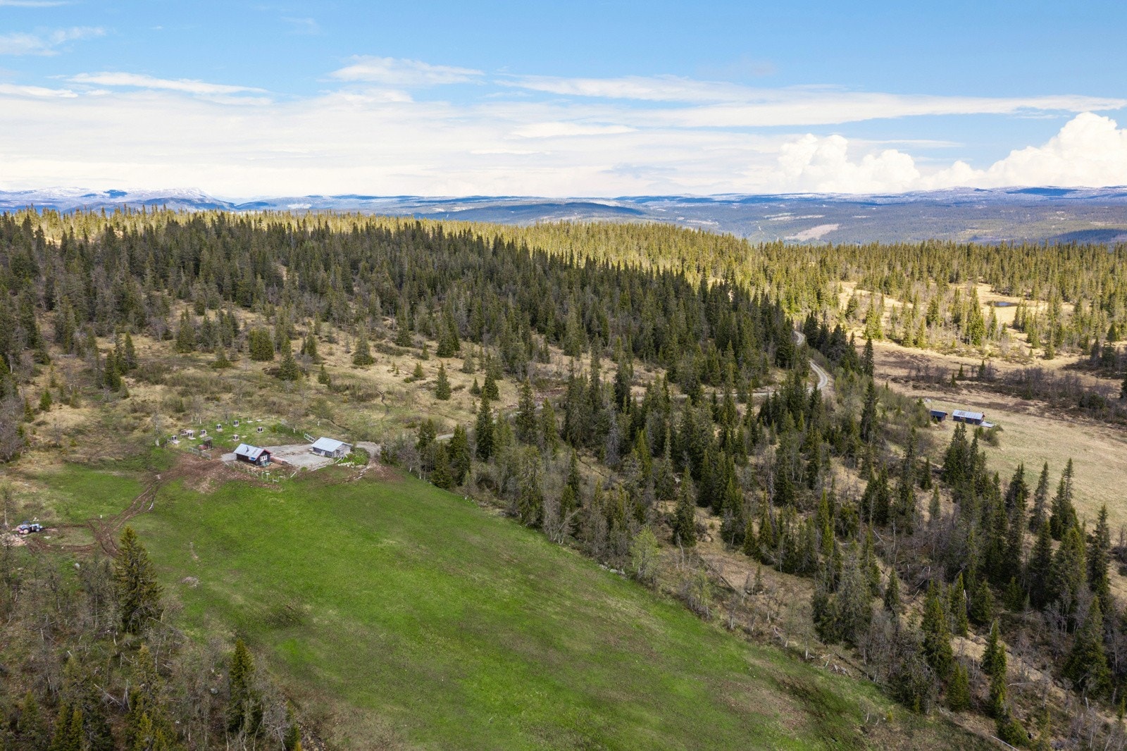 Bilde fra seter Galleribilde