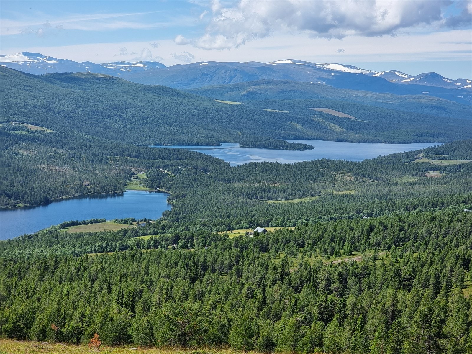 Opplev fantastisk utsikt over frodig skog og innsjøer, med majestetiske fjell i horisonten - en naturperle. Galleribilde