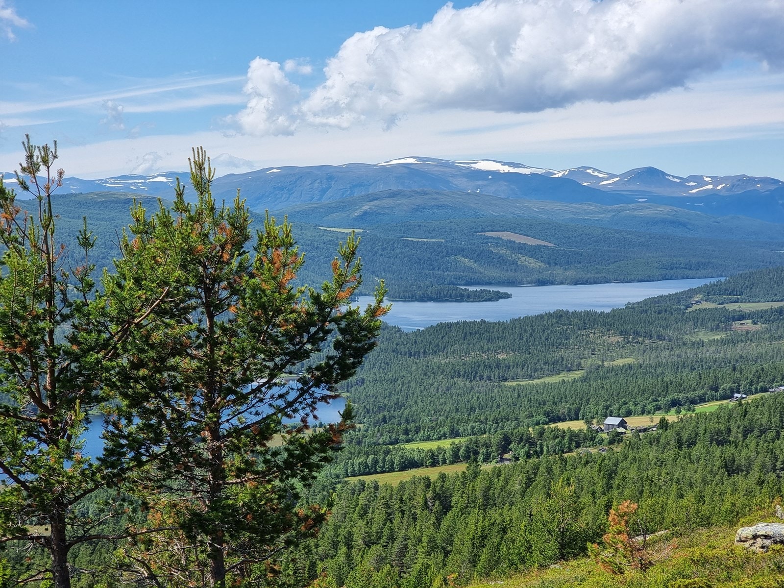 Utrolig flotte omgivelser i nærområdet. Galleribilde