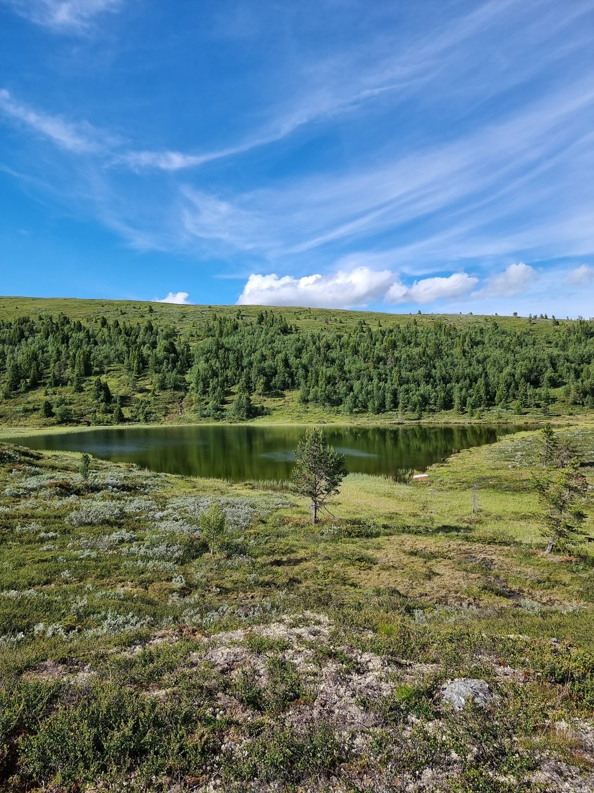 Det er flotte turmål i nærområdet. Galleribilde